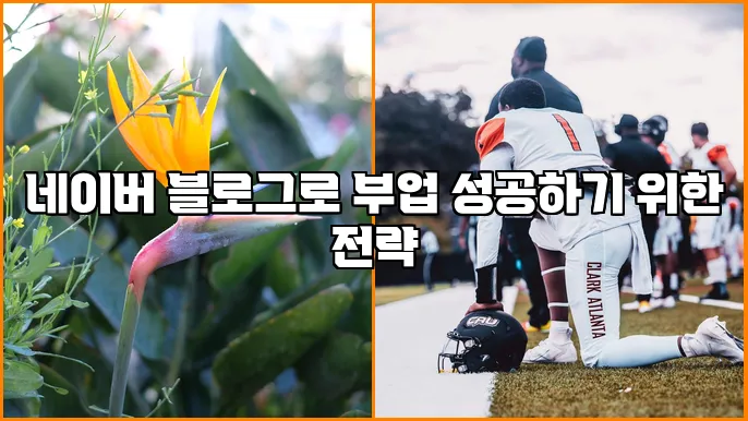 네이버 블로그로 부업 성공하기 위한 전략