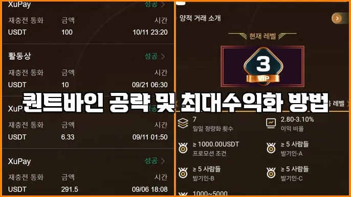 퀀트바인 공략 및 최대수익화 방법