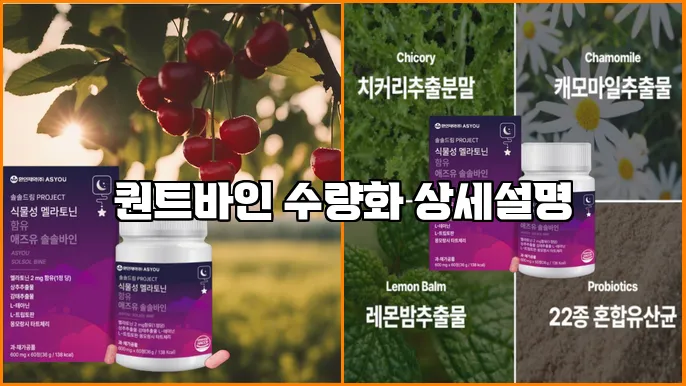 퀀트바인 수량화 상세설명