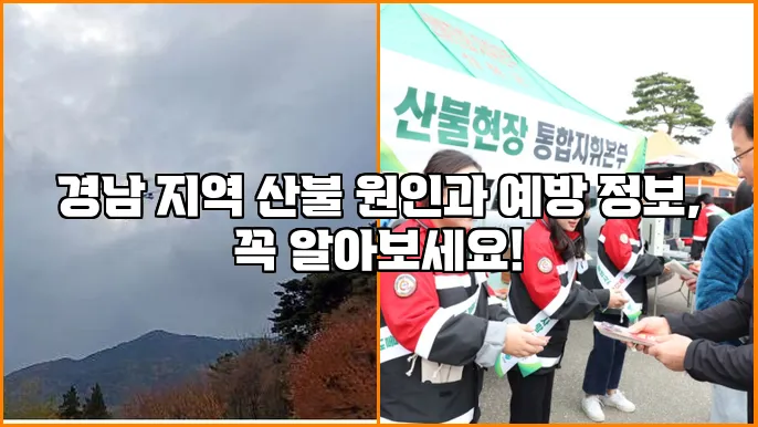 경남 지역 산불 원인과 예방 정보, 꼭 알아보세요!