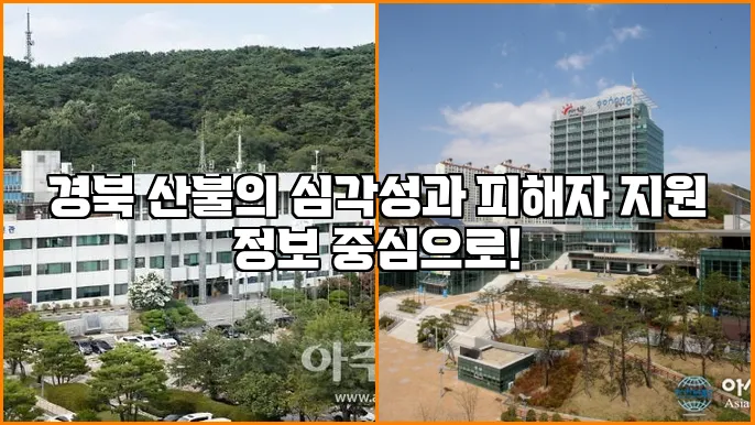 경북 산불의 심각성과 피해자 지원 정보 중심으로!