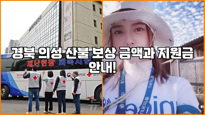 경북 의성 산불 보상 금액과 지원금 안내!