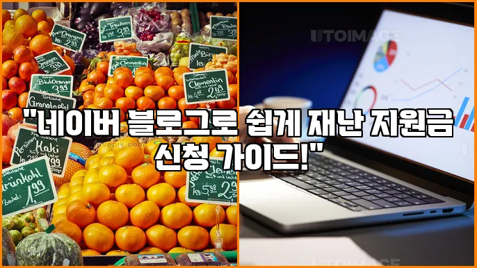 "네이버 블로그로 쉽게 재난 지원금 신청 가이드!"