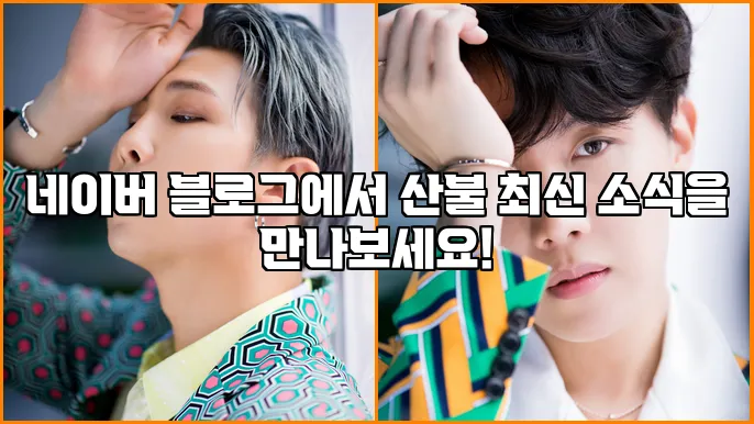 네이버 블로그에서 산불 최신 소식을 만나보세요!