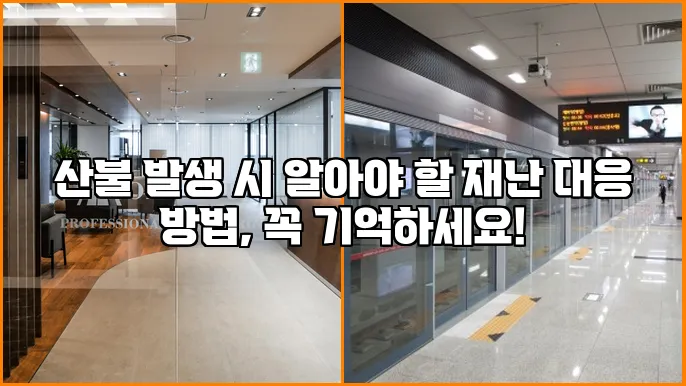 산불 발생 시 알아야 할 재난 대응 방법, 꼭 기억하세요!