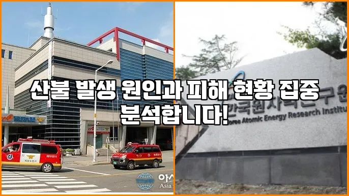산불 발생 원인과 피해 현황 집중 분석합니다!