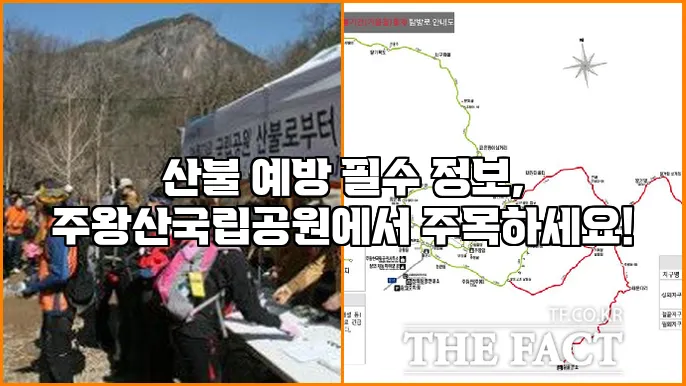 산불 예방 필수 정보, 주왕산국립공원에서 주목하세요!