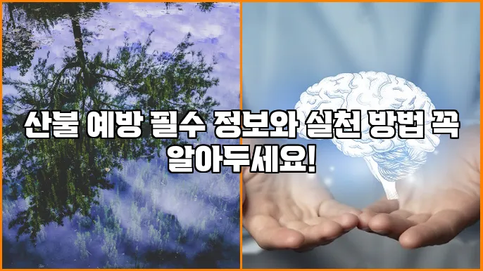 산불 예방 필수 정보와 실천 방법 꼭 알아두세요!