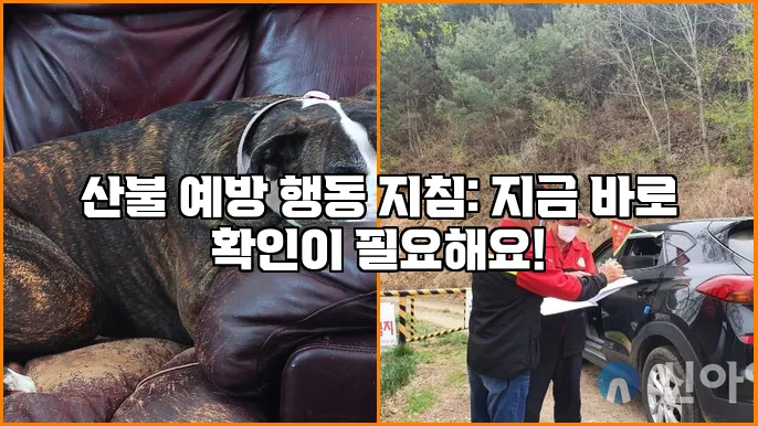 산불 예방 행동 지침: 지금 바로 확인이 필요해요!