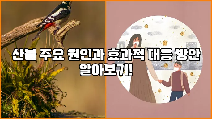 산불 주요 원인과 효과적 대응 방안 알아보기!
