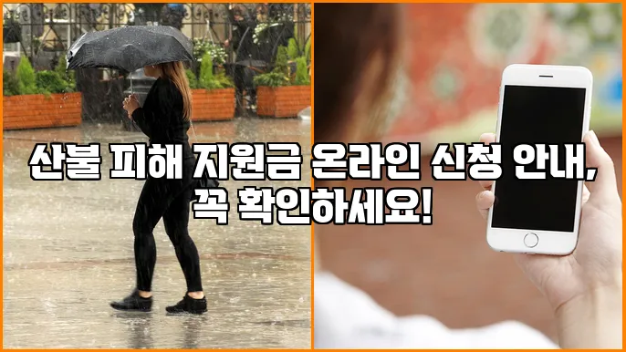 산불 피해 지원금 온라인 신청 안내, 꼭 확인하세요!