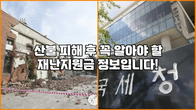 산불 피해 후 꼭 알아야 할 재난지원금 정보입니다!
