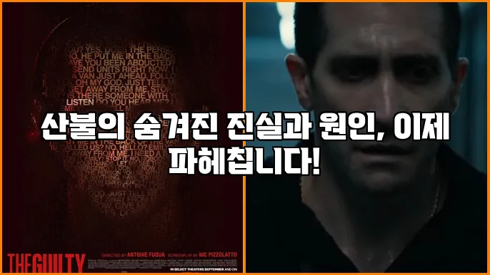산불의 숨겨진 진실과 원인, 이제 파헤칩니다!