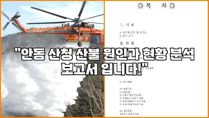 "안동 산청 산불 원인과 현황 분석 보고서 입니다!"