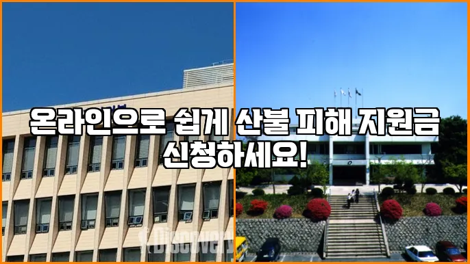 온라인으로 쉽게 산불 피해 지원금 신청하세요!