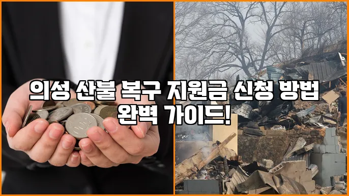 의성 산불 복구 지원금 신청 방법 완벽 가이드!