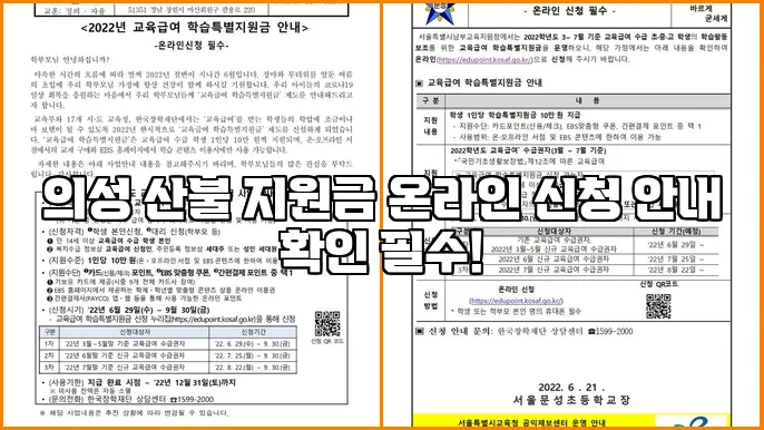 의성 산불 지원금 온라인 신청 안내 확인 필수!