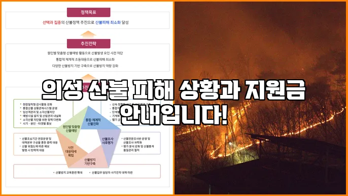 의성 산불 피해 상황과 지원금 안내입니다!