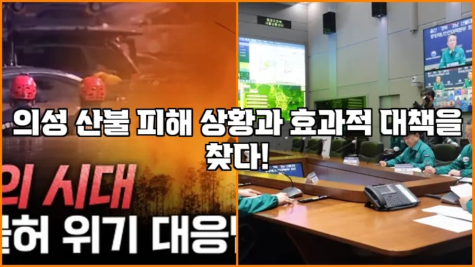 의성 산불 피해 상황과 효과적 대책을 찾다!