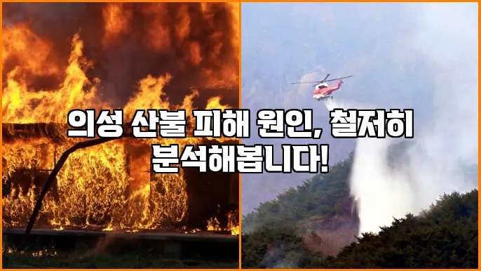 의성 산불 피해 원인, 철저히 분석해봅니다!