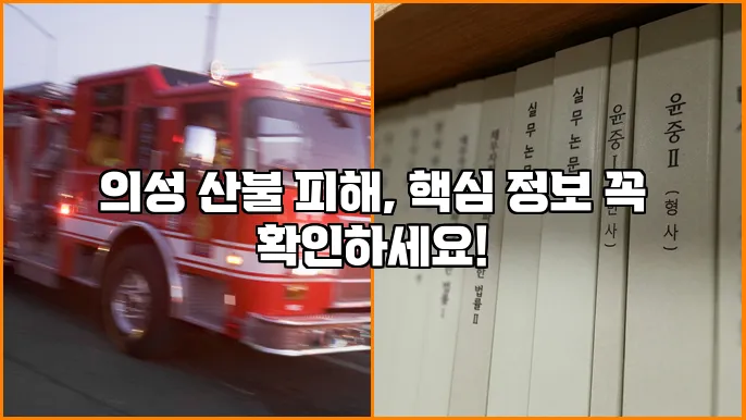 의성 산불 피해, 핵심 정보 꼭 확인하세요!