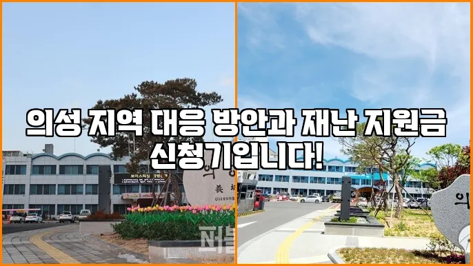 의성 지역 대응 방안과 재난 지원금 신청기입니다!