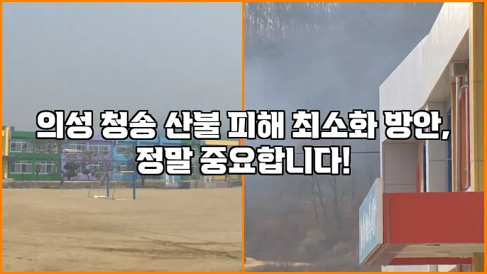 의성 청송 산불 피해 최소화 방안, 정말 중요합니다!