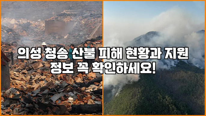 의성 청송 산불 피해 현황과 지원 정보 꼭 확인하세요!
