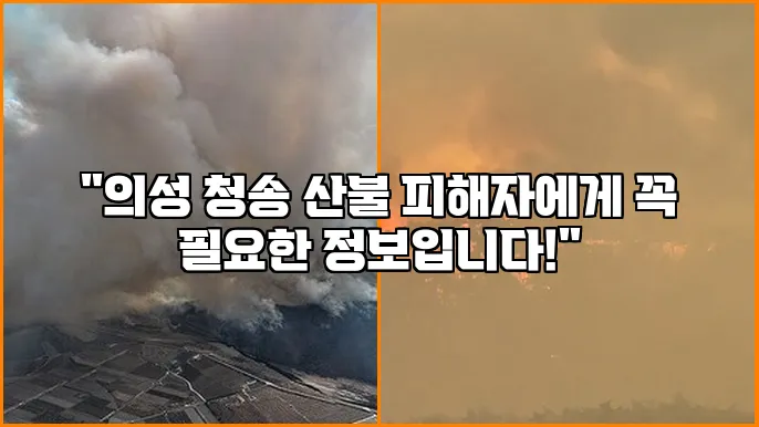 "의성 청송 산불 피해자에게 꼭 필요한 정보입니다!"