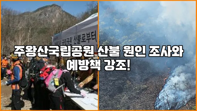 주왕산국립공원 산불 원인 조사와 예방책 강조!