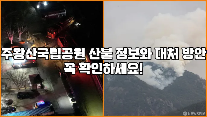 주왕산국립공원 산불 정보와 대처 방안 꼭 확인하세요!