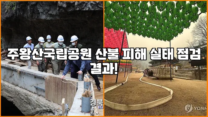 주왕산국립공원 산불 피해 실태 점검 결과!