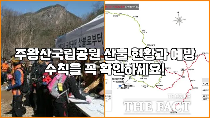 주왕산국립공원 산불 현황과 예방 수칙을 꼭 확인하세요!
