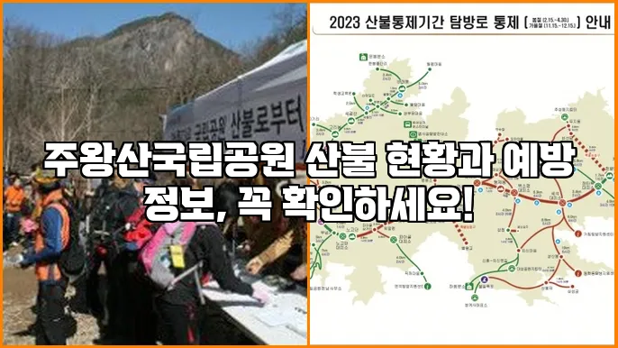 주왕산국립공원 산불 현황과 예방 정보, 꼭 확인하세요!