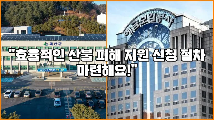 "효율적인 산불 피해 지원 신청 절차 마련해요!"
