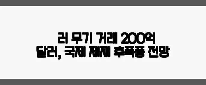 北‑러 무기 거래 200억 달러, 국제 제재 후폭풍 전망