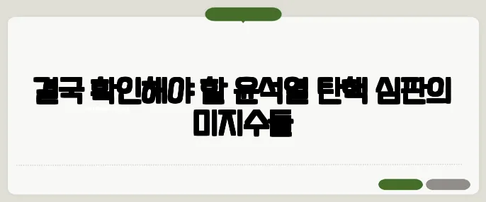 결국 확인해야 할 윤석열 탄핵 심판의 미지수들