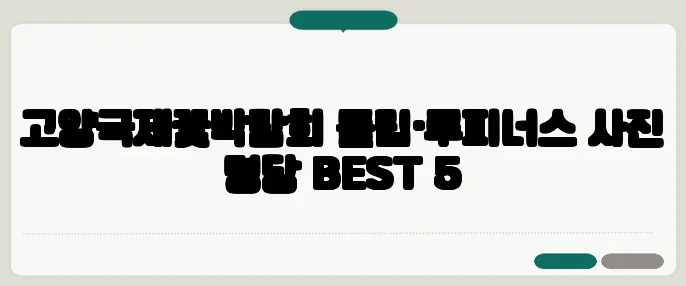고양국제꽃박람회 튤립·루피너스 사진 명당 BEST 5