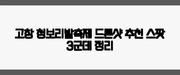 고창 청보리밭축제 드론샷 추천 스팟 3군데 정리