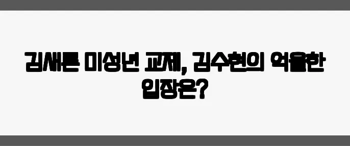 김새론 미성년 교제, 김수현의 억울한 입장은?