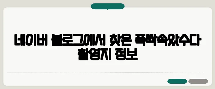 네이버 블로그에서 찾은 폭싹속았수다 촬영지 정보
