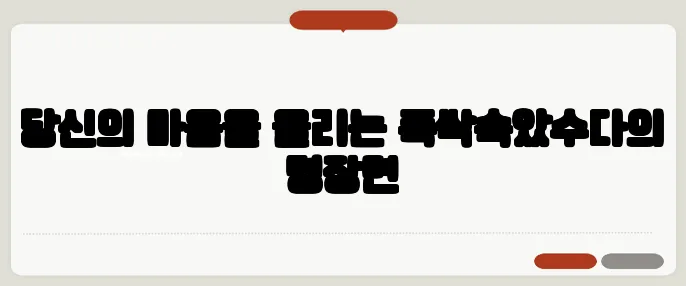 당신의 마음을 울리는 폭싹속았수다의 명장면