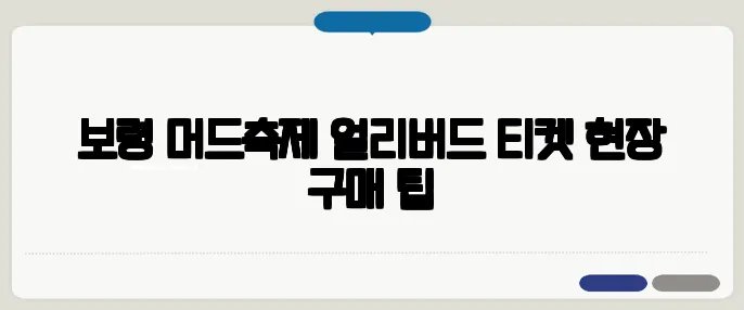 보령 머드축제 얼리버드 티켓 현장 구매 팁