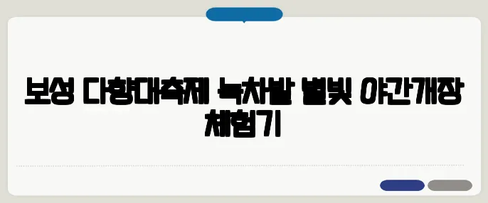 보성 다향대축제—녹차밭 별빛 야간개장 체험기