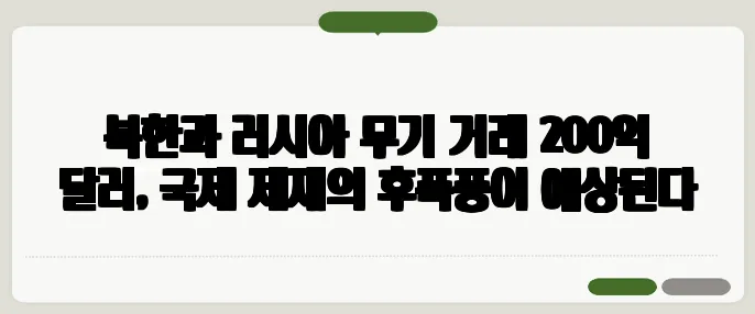 북한과 러시아 무기 거래 200억 달러, 국제 제재의 후폭풍이 예상된다