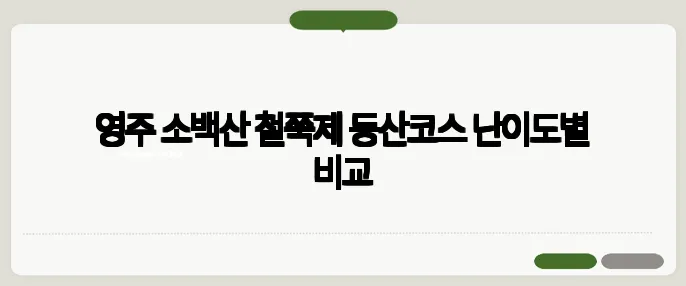 영주 소백산 철쭉제 등산코스 난이도별 비교