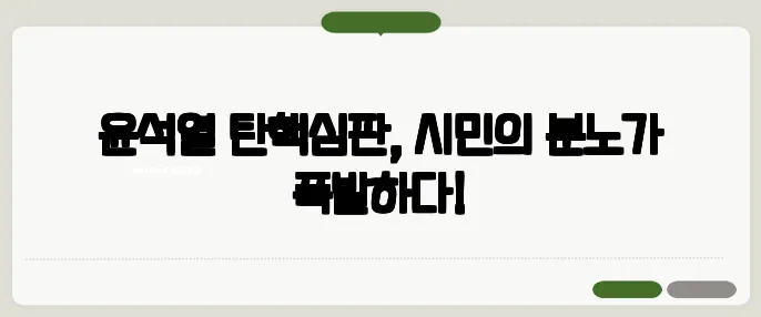 윤석열 탄핵심판, 시민의 분노가 폭발하다!