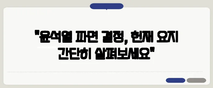 "윤석열 파면 결정, 헌재 요지 간단히 살펴보세요"