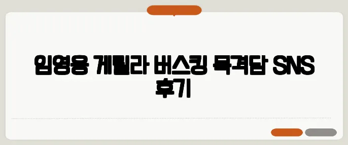 임영웅 게릴라 버스킹 목격담·SNS 후기