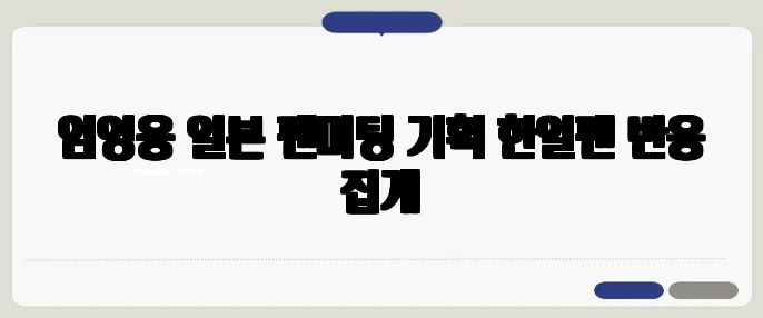임영웅 일본 팬미팅 기획 한일팬 반응 집계